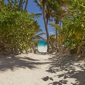 Hotel Dos Ceibas - Massage & Yoga Inclusive Tulum
